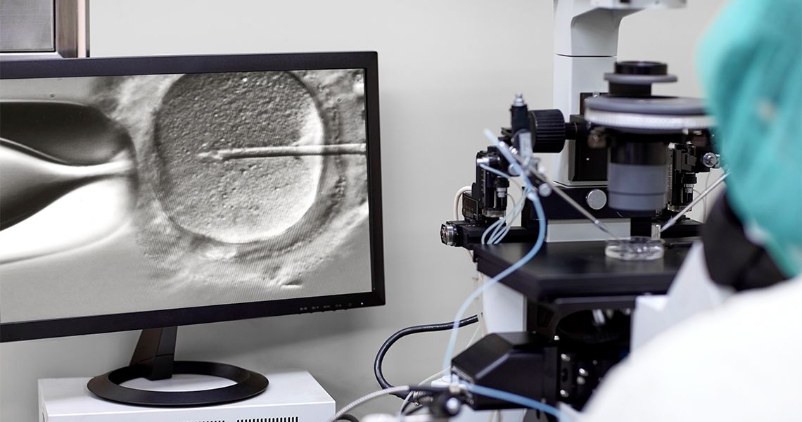 Embryologist using specialized equipment to fertilize an egg.
