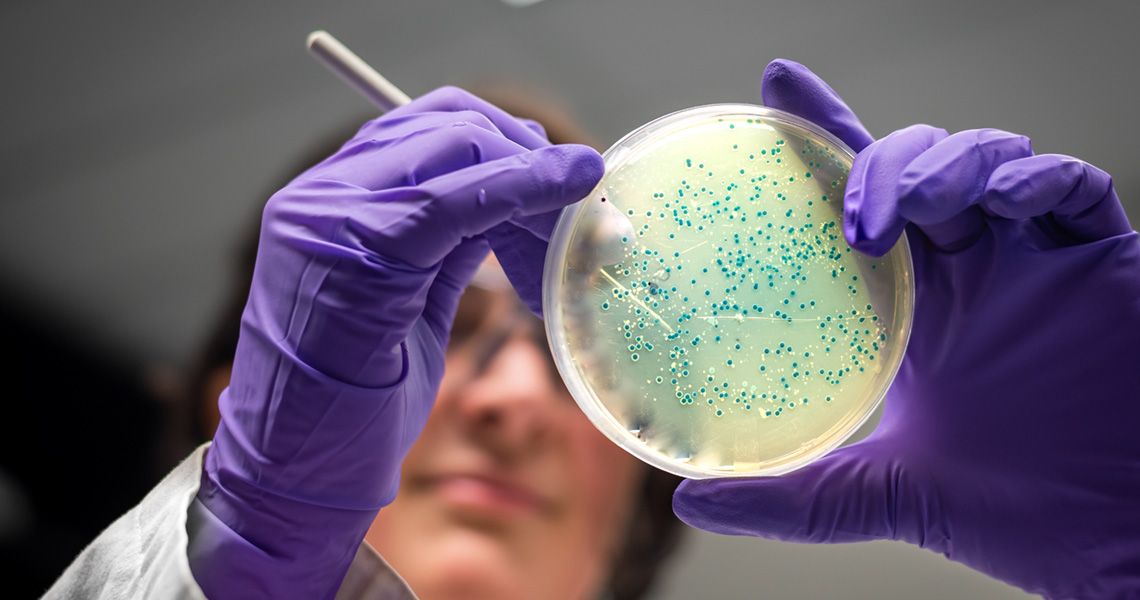 Microbiologist looking closely at a lab sample
