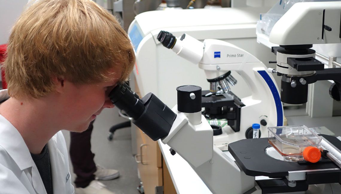 A researcher looking into a microscope