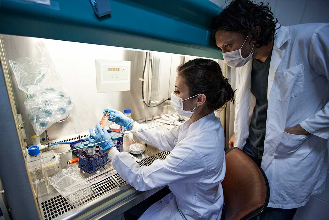 Two researchers wearing masks inspecting a sample behind a glass workstation