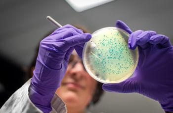 Microbiologist looking closely at a lab sample